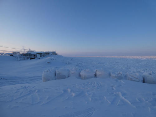 Chukchi Sea coast, Utqiagvik. 2/12/2020.